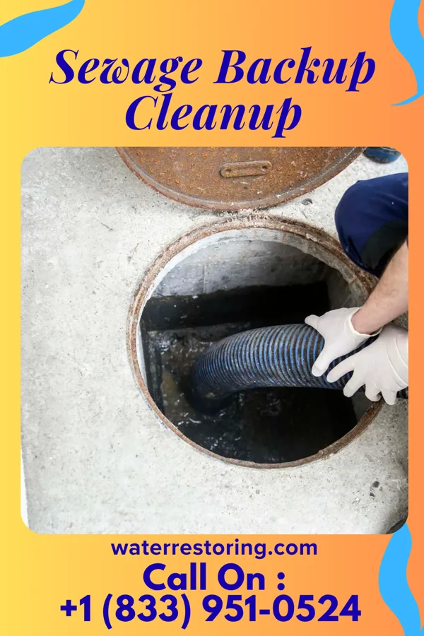 Sewage Backup Cleanup in Augusta, WI